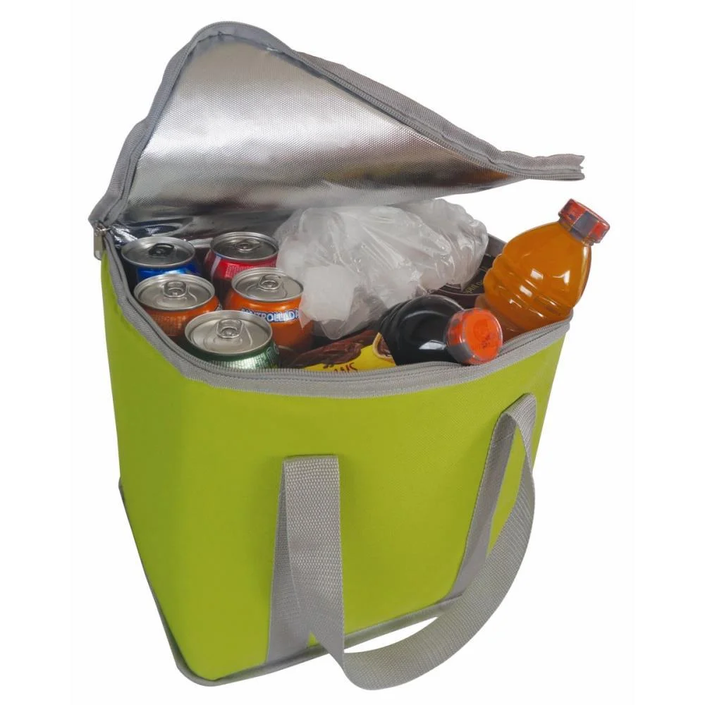 BOLSA TERMICA RETANGULAR 12L (S) ANTARES (UNIDADE)