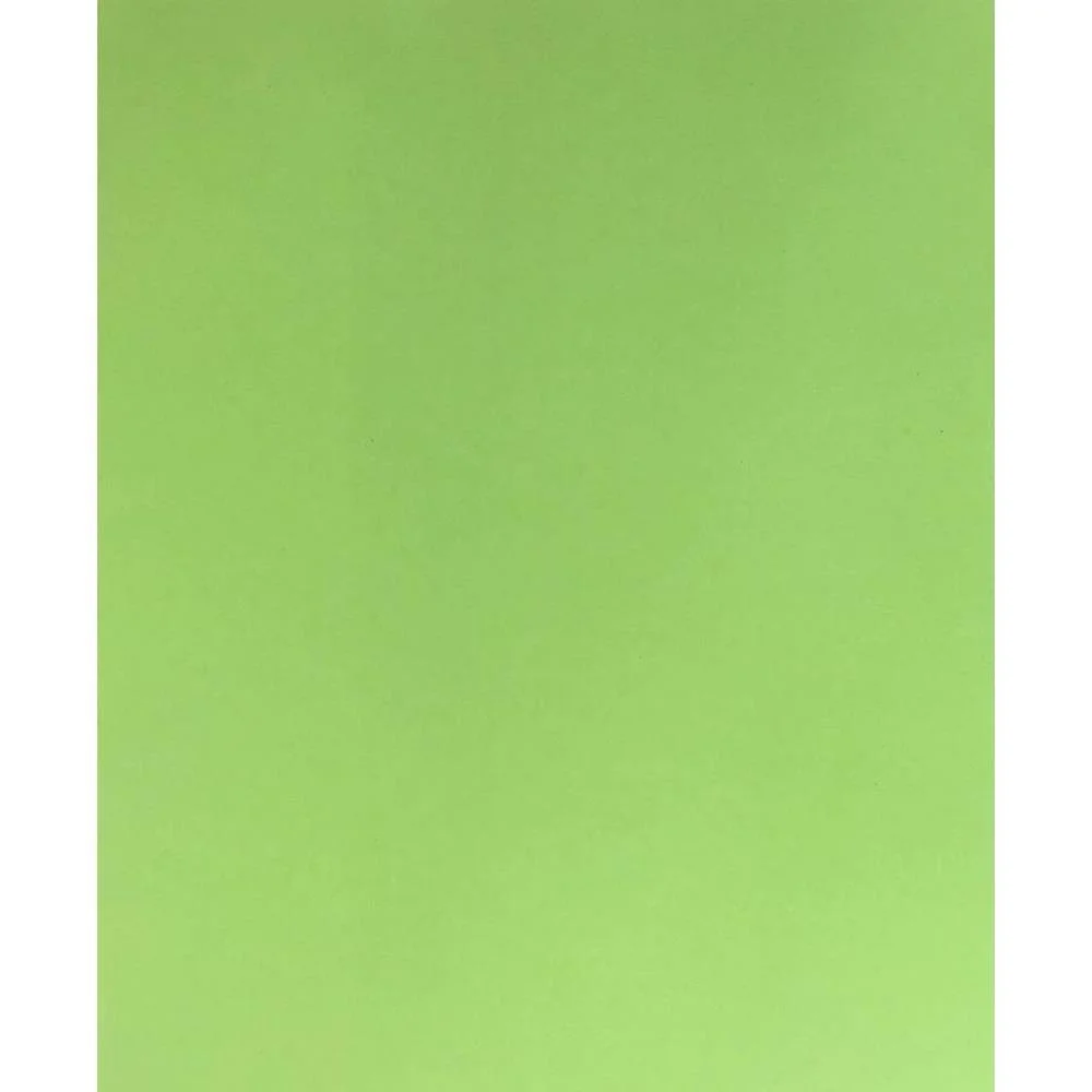 PLACA EM EVA 48X40CM VERDE CLARO 1,8MM. DUBFLEX (PCT.C/10)