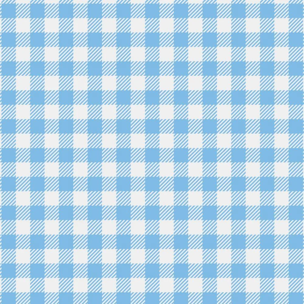 PLACA EM EVA ESTAMPADO 60X40CM XADREZ BRANCO/AZUL 2MM MAKE+ (PCT.C/05)