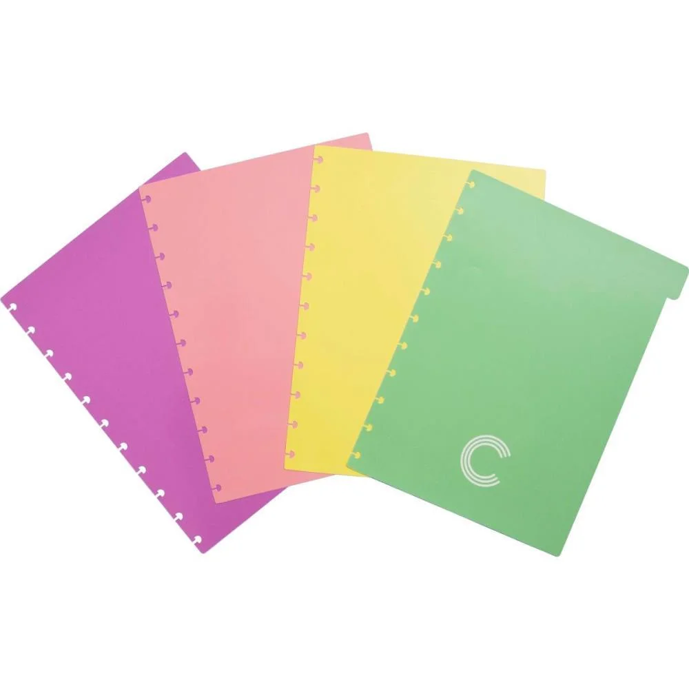 CADERNO INTELIGENTE DIVISORIAS GRANDE PASTEL C/4 UNID. CADERNO INTELIGENTE (PACOTE)