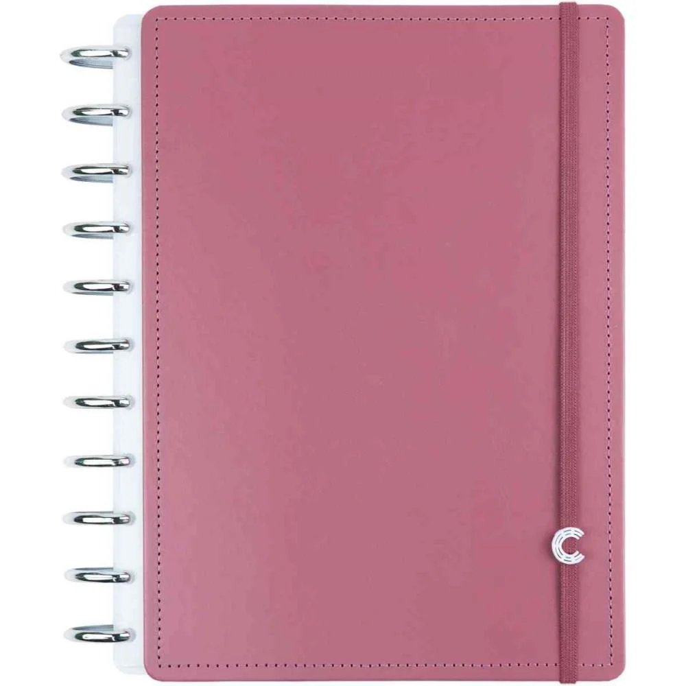 CADERNO INTELIGENTE GRANDE GUAVA 10 MATERIAS 140FLS 90G CADERNO INTELIGENTE (UNIDADE)