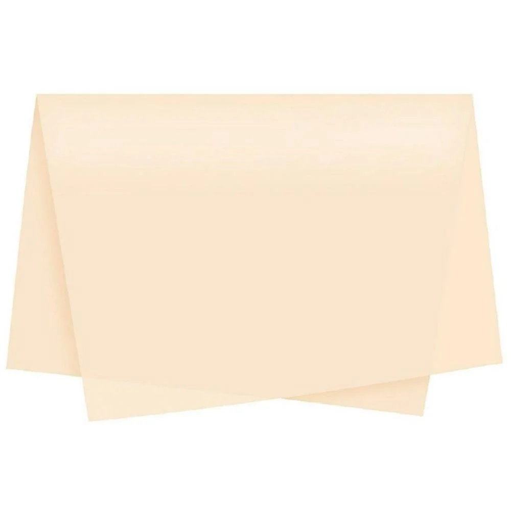 POLI SUJINHO LISO 49X69CM CREME XINGO EMBALAGENS (PCT.C/50)