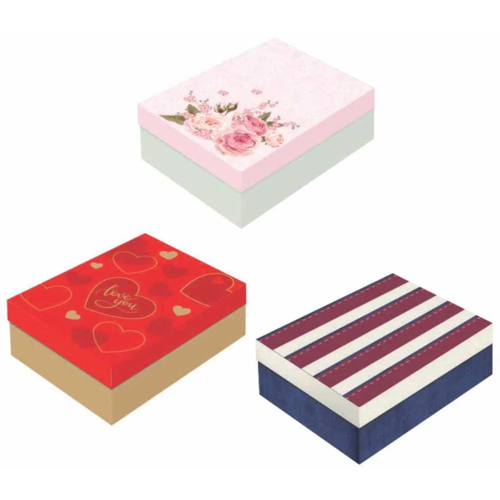 CAIXA PARA PRESENTE COM TAMPA RETANGULAR P 24X18X8CM SORTIDO PACKPEL (PCT.C/10)