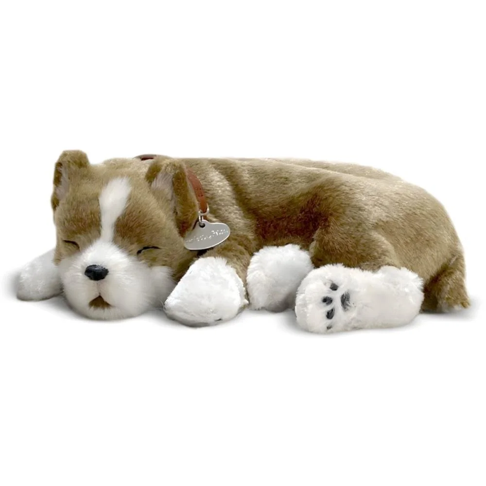 PERFECT PETZZZ FILHOTE CACHORRO PIT BULL IMEX (UNIDADE)