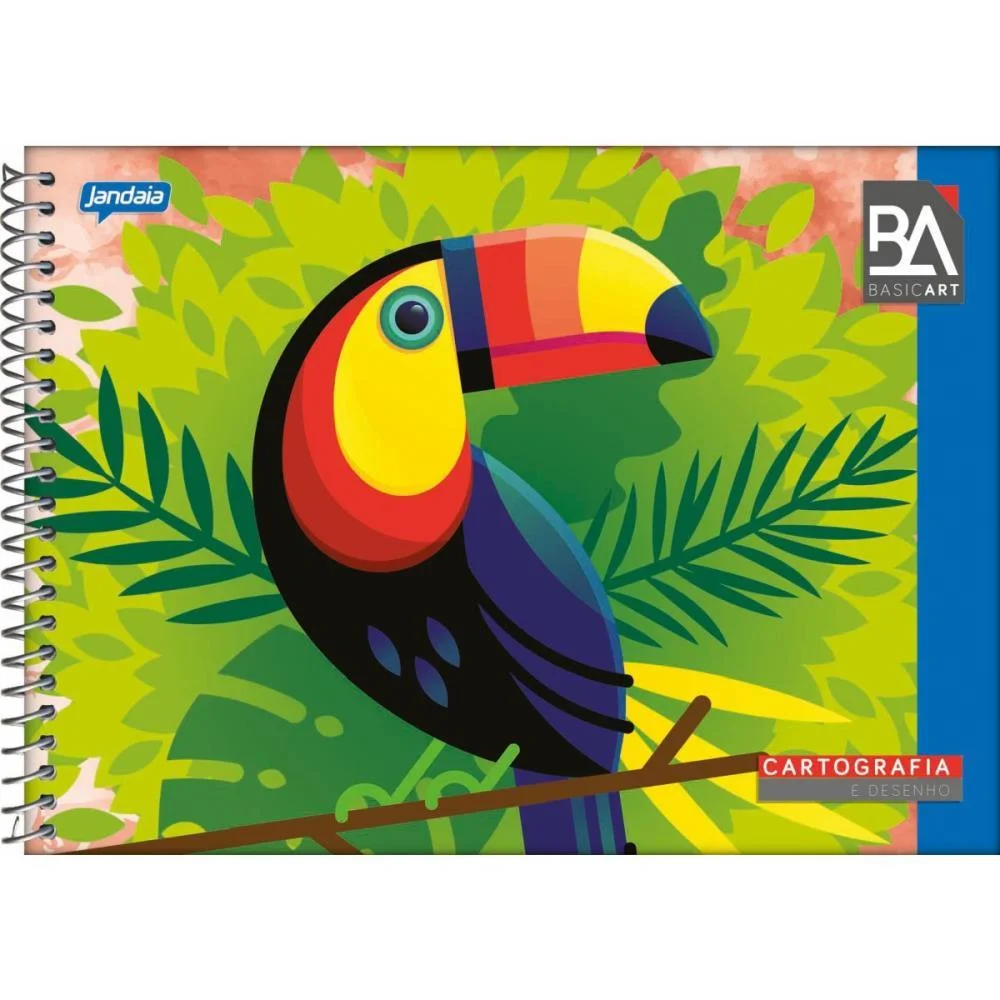 CADERNO DESENHO UNIVERSITARIO BASIC ART 96FLS. ESP. HORIZ. JANDAIA (PCT.C/05)