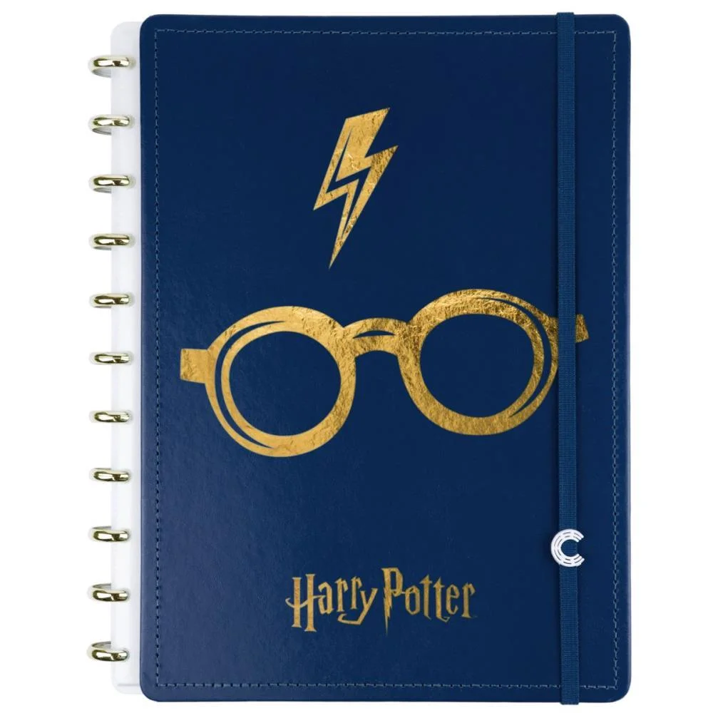CADERNO INTELIGENTE GRANDE HARRY POTTER AZUL 80FLS CADERNO INTELIGENTE (UNIDADE)