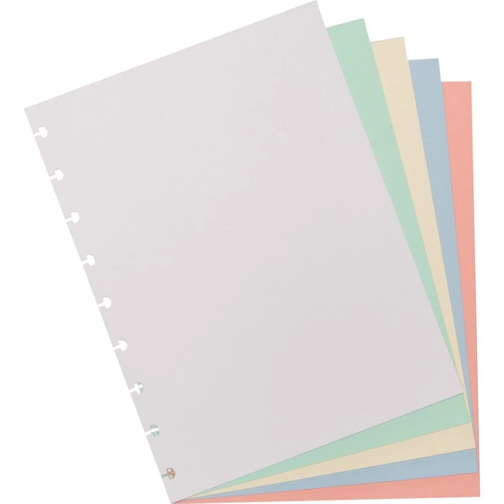 CADERNO INTELIGENTE REFIL MEDIO COLORIDO 80G.50FLS. CADERNO INTELIGENTE (PACOTE)