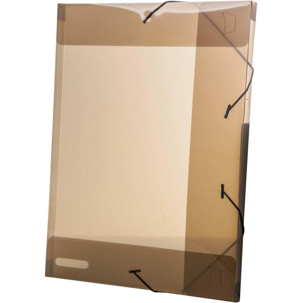 PASTA ABA ELASTICA PLASTICA OFICIO 20MM FUME DELLOLINE DELLO (PCT.C/10)