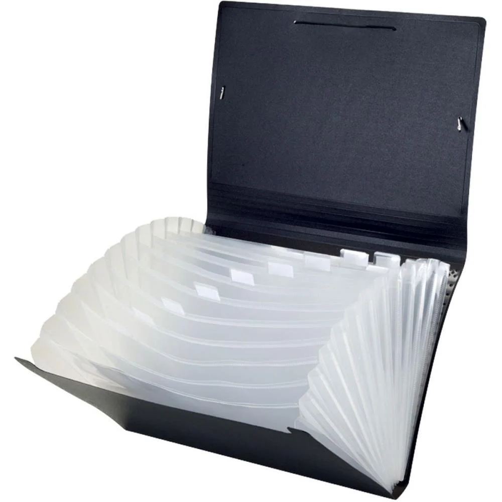 PASTA SANFONADA PLASTICA A4 12 DIVISOES BLACK ACP (UNIDADE)