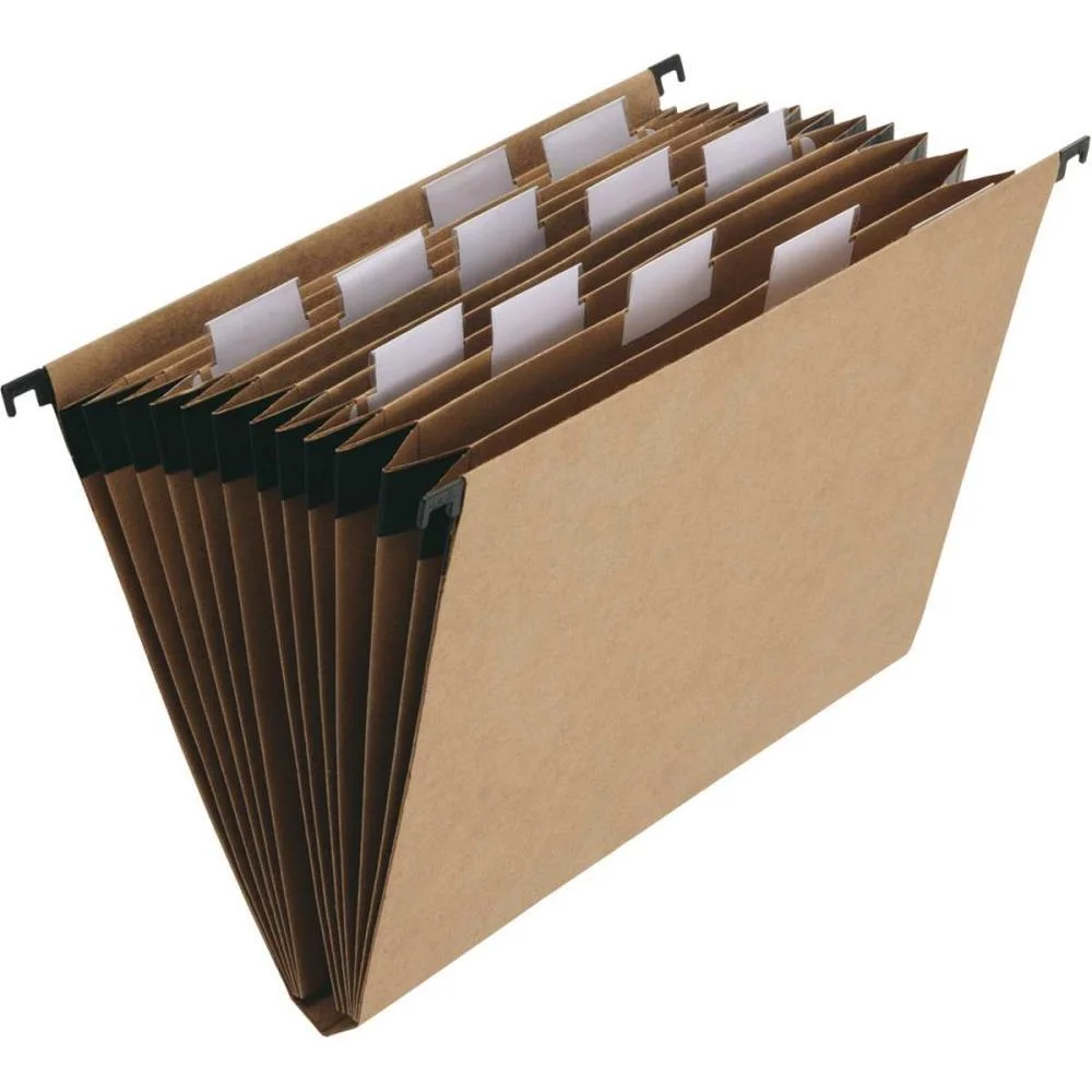 PASTA SUSPENSA DELLOKRAFT SANFONADA 12 DIV. DELLO (UNIDADE)