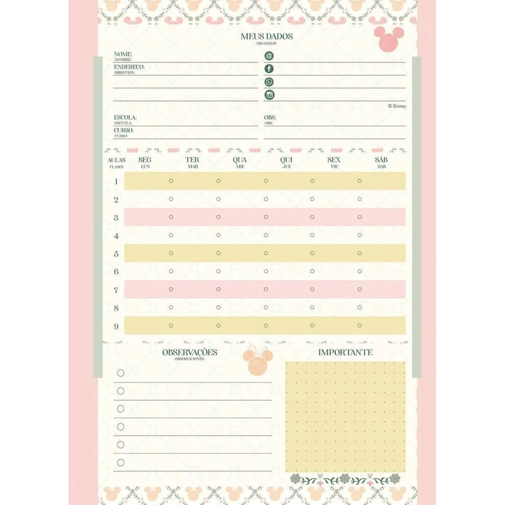 Caderno 10X1 Capa Dura Mickey.minnie Arts Kraft160I.a Jandaia (Pct.c/04) - imagem 11