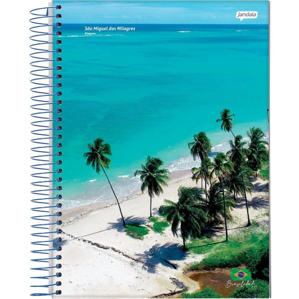 Caderno Espiral 1/4 Capa Dura Brasilidade 200Fls Jandaia (Pct.c/05) - imagem 3