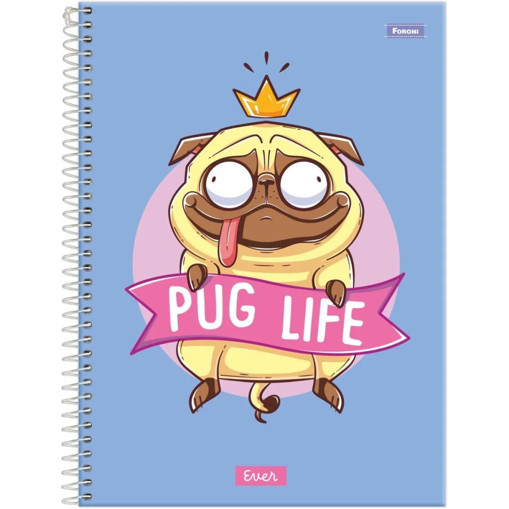 Caderno 10X1 Capa Dura Ever 160F Foroni (Pct.c/04) - imagem 2