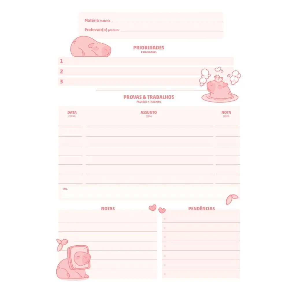 Caderno 15X1 Capa Dura Capyvibes 240Fls. I.a Jandaia (Pct.c/02) - imagem 12