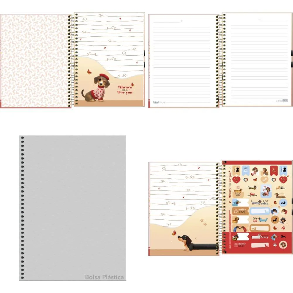 Caderno 01X1 Cp.dura Colegial Brownie Dog 60Fls 177X240Mm Tilibra (Pct.c/04) - imagem 3