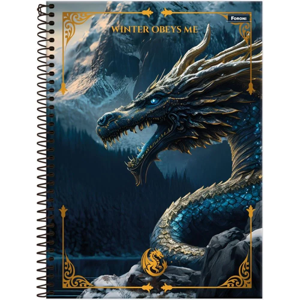 Caderno 10X1 Capa Dura Drakos 160Fls Foroni (Pct.c/04) - imagem 4