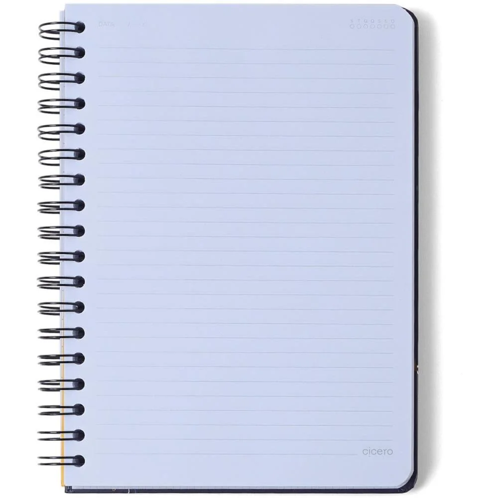 Caderno 10X1 Cp.dura Colegial Melissa Casinha Abelhas 160F Cicero (Unidade) - imagem 4