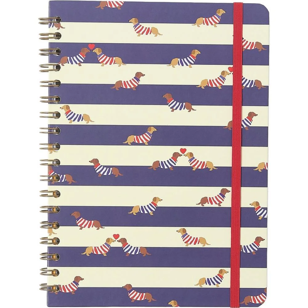 Caderno 01X1 Cp.dura Colegial Praia Cachorros 80F Cicero (Unidade) - imagem 2