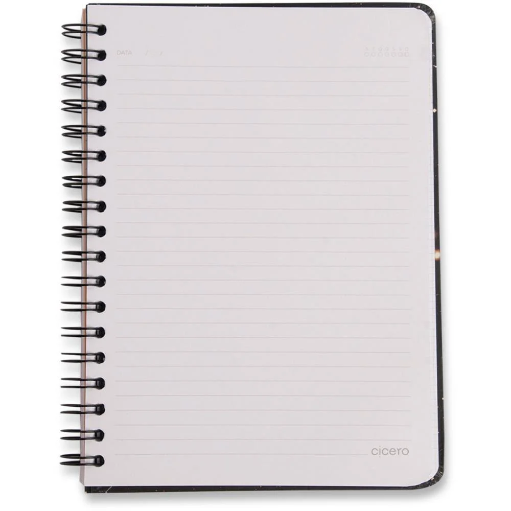 Caderno 01X1 Cp.dura Colegial Praia Cachorros 80F Cicero (Unidade) - imagem 4