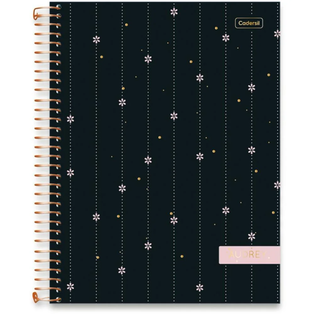 Caderno 10X1 Capa Dura Audrey 160Fls Cadersil (Pct.c/04) - imagem 4