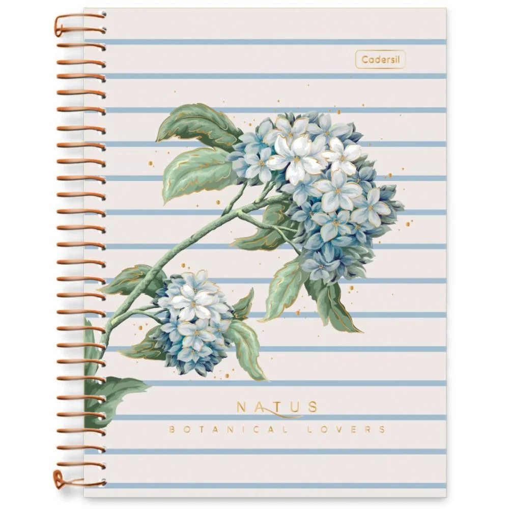Caderno 10X1 Cp.dura Colegial Natus 160Fls Cadersil (Pct.c/04) - imagem 2