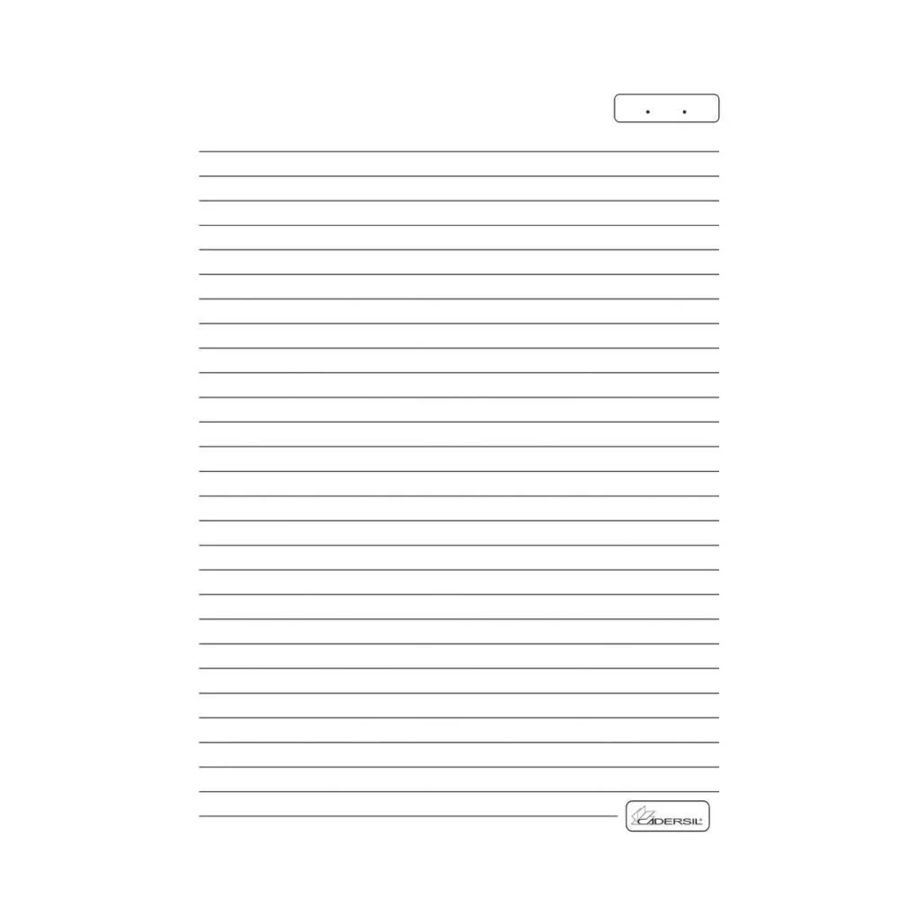 Caderno 10X1 Capa Dura Drive Line Cp.metalizada 160Fl Cadersil (Pct.c/04) - imagem 9
