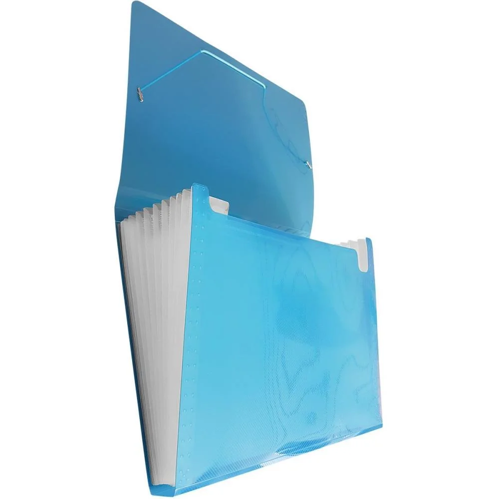 Pasta Sanfonada Plastica A4 12 Divisoes Azul Acp (Unidade) - imagem 4