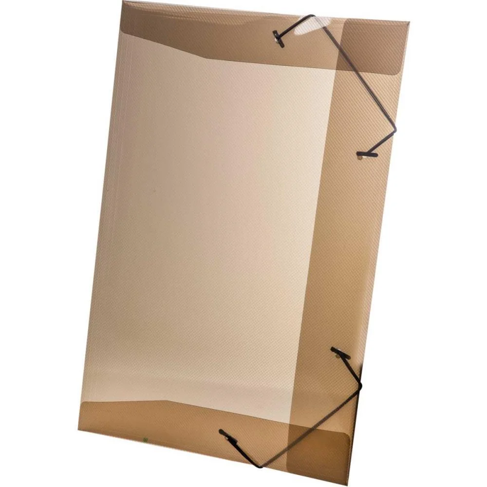 Pasta Aba Elastica Plastica Oficio Fume Delloline Dello (Pct.c/10) - imagem 2