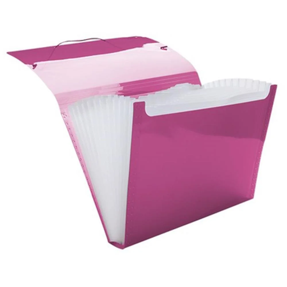 Pasta Sanfonada Plastica A4 12 Divisoes Pink Line Dello (Unidade) - imagem 4
