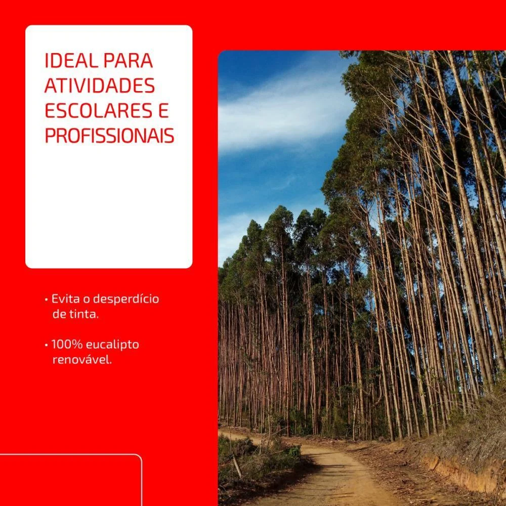 Papel Sulfite A4 Chamex 75G 05 Pctx500 Fls Chamex (Caixa) - imagem 6