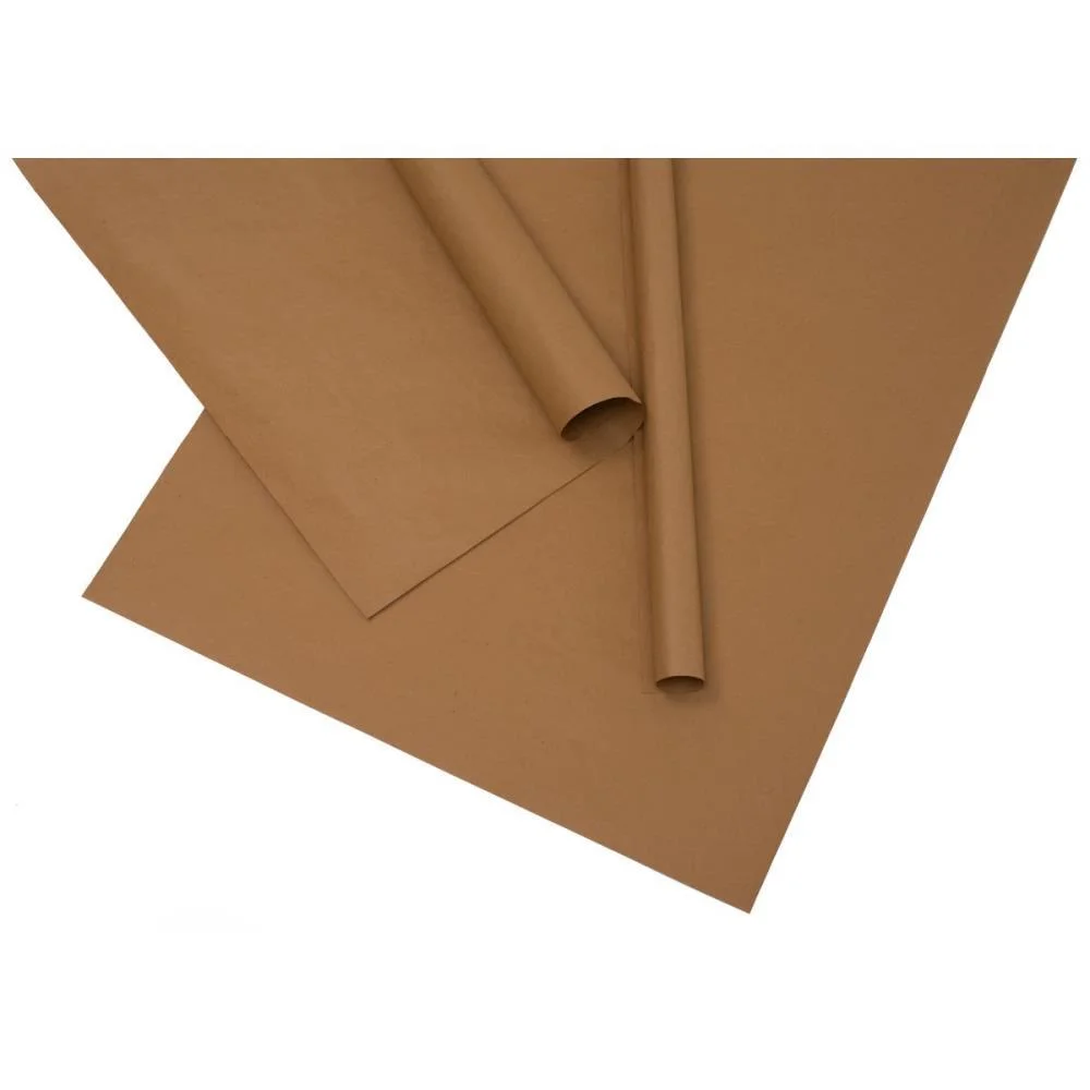 Papel Kraft Folha 66X96Cm 60G Natural Reipel (Pct.c/250) - imagem 3