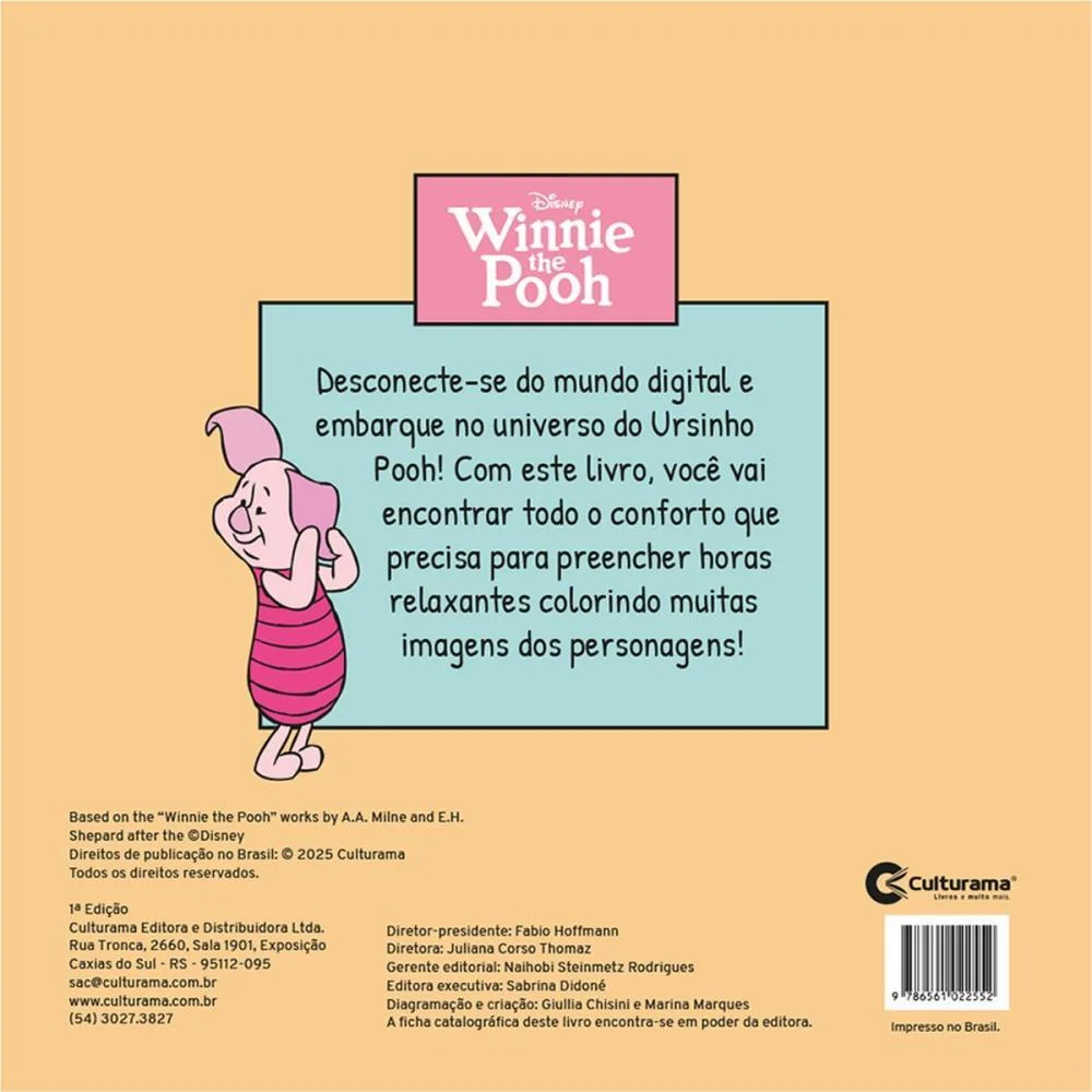 Livro De Colorir Pooh Comfy Relax 24Pgs 21X21Cm Culturama (Unidade) - imagem 4