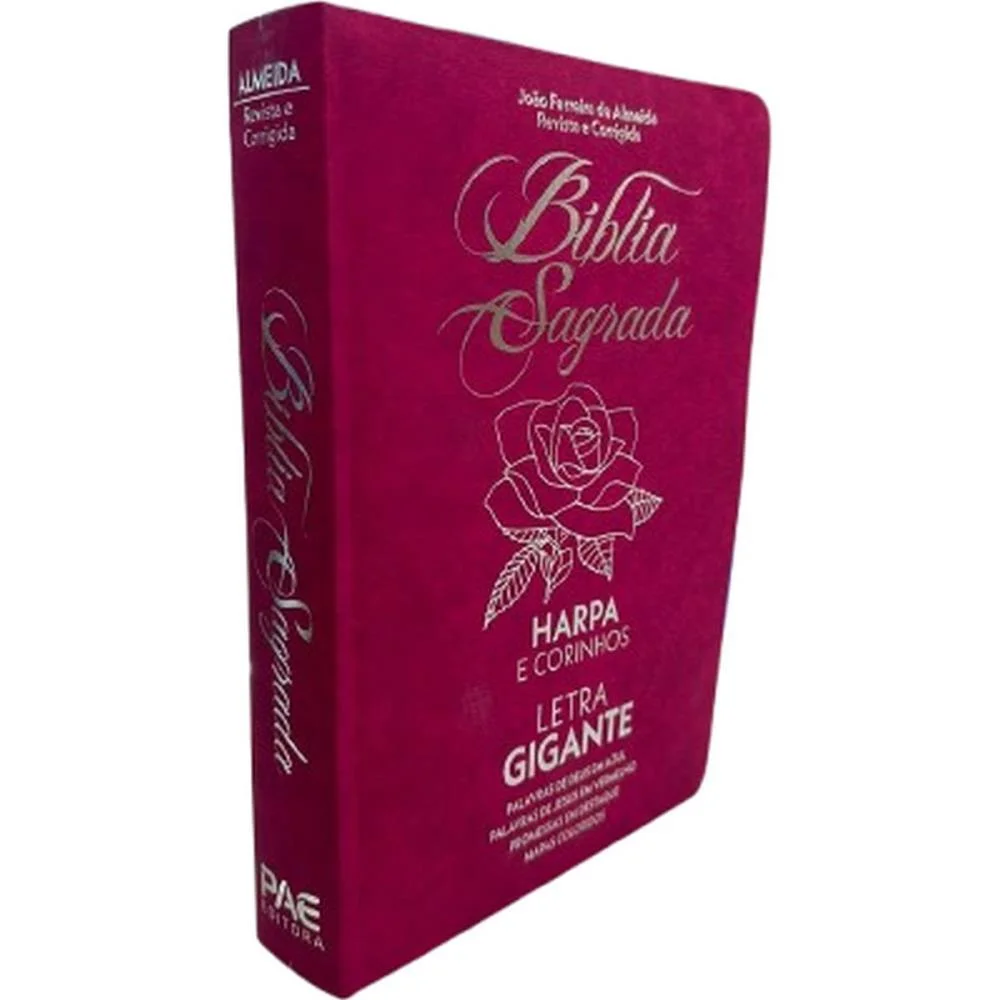 Livro De Leitura Biblia Sagrada Letras Gd.832Pg Pae Editora (Unidade) - imagem 2