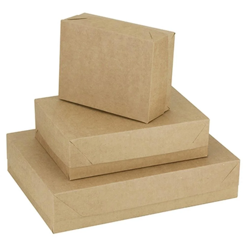 Caixa Para Presente Com Tampa Kraft Md 26X19X7,5 Cristina (Pct.c/10) - imagem 2