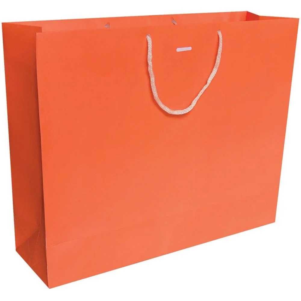 Sacola Para Presente Lisa Cores Vivas G 32X40X12 Horizon Cristina (Pct.c/10) - imagem 3