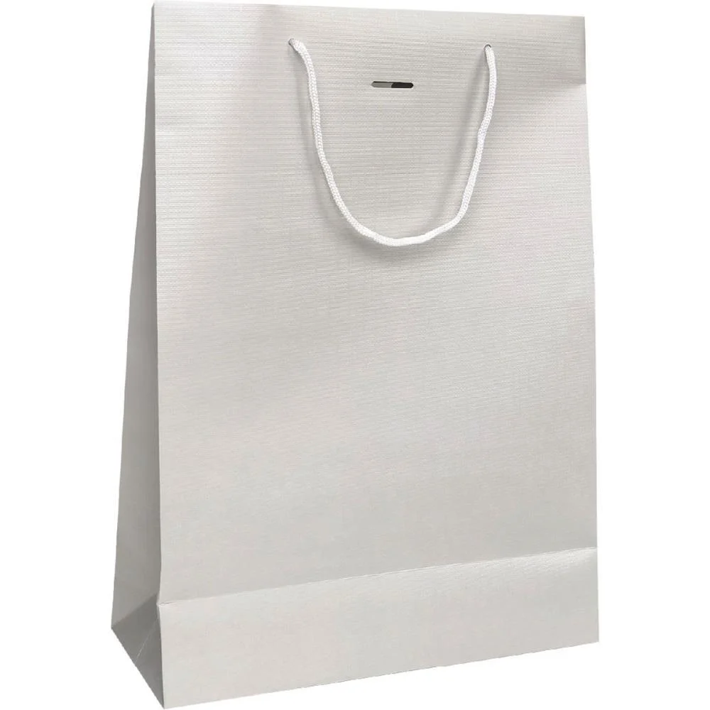 Sacola Para Presente Lisa Fashion G 40X29X12 Text. (S) Cristina (Pct.c/10) - imagem 5