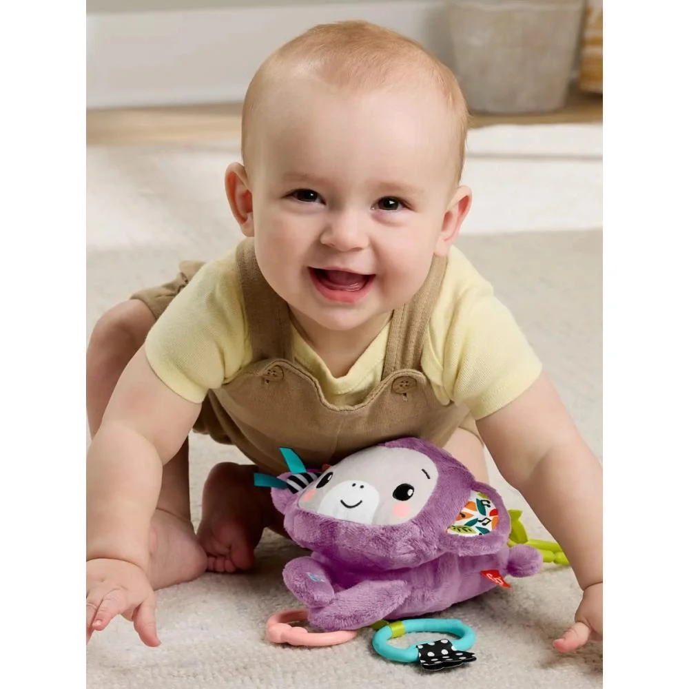 Fisher-Price Newborn Toys Macaquinho Musical C/Sons Mattel (Unidade) - imagem 7
