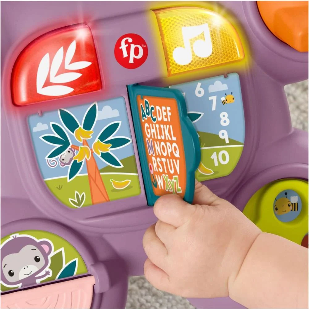 Fisher-Price Infant Andador E Apoiador Macaco Mattel (Unidade) - imagem 7