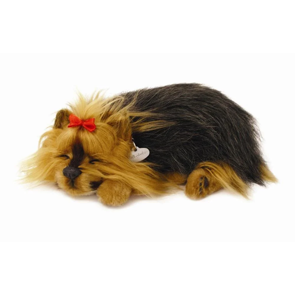Perfect Petzzz Filhote Cachorro Yorkshire Imex - imagem 2