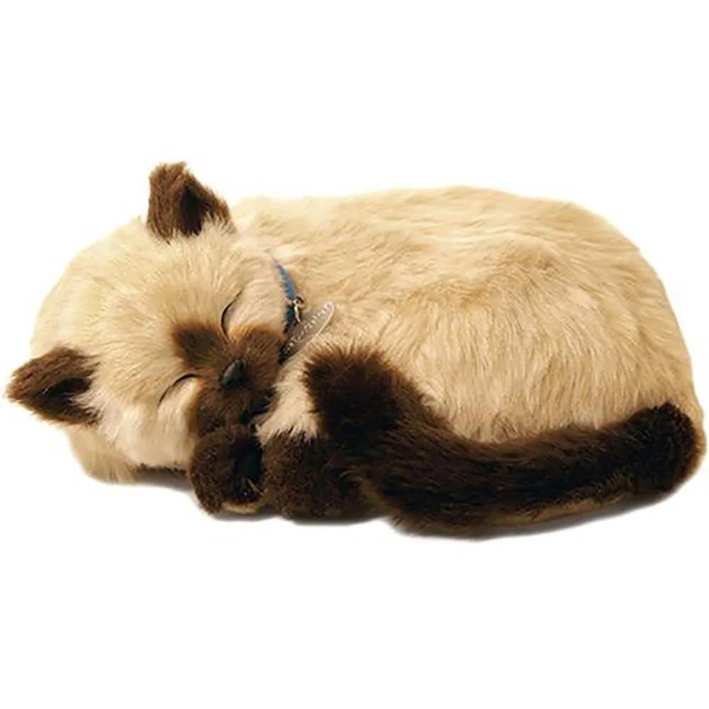 Perfect Petzzz Filhote Gato Siames Caramelo Imex - imagem 2