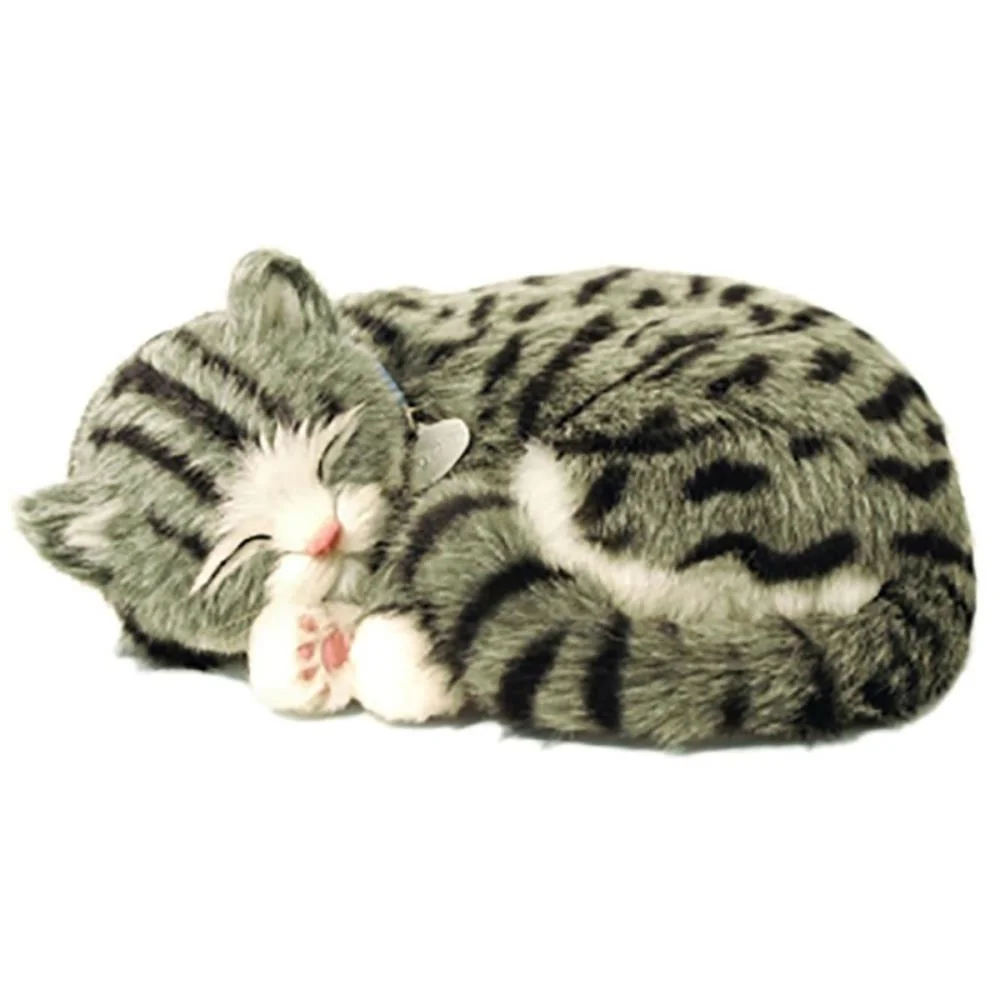 Perfect Petzzz Filhote Gato Gray Tabby Imex - imagem 2