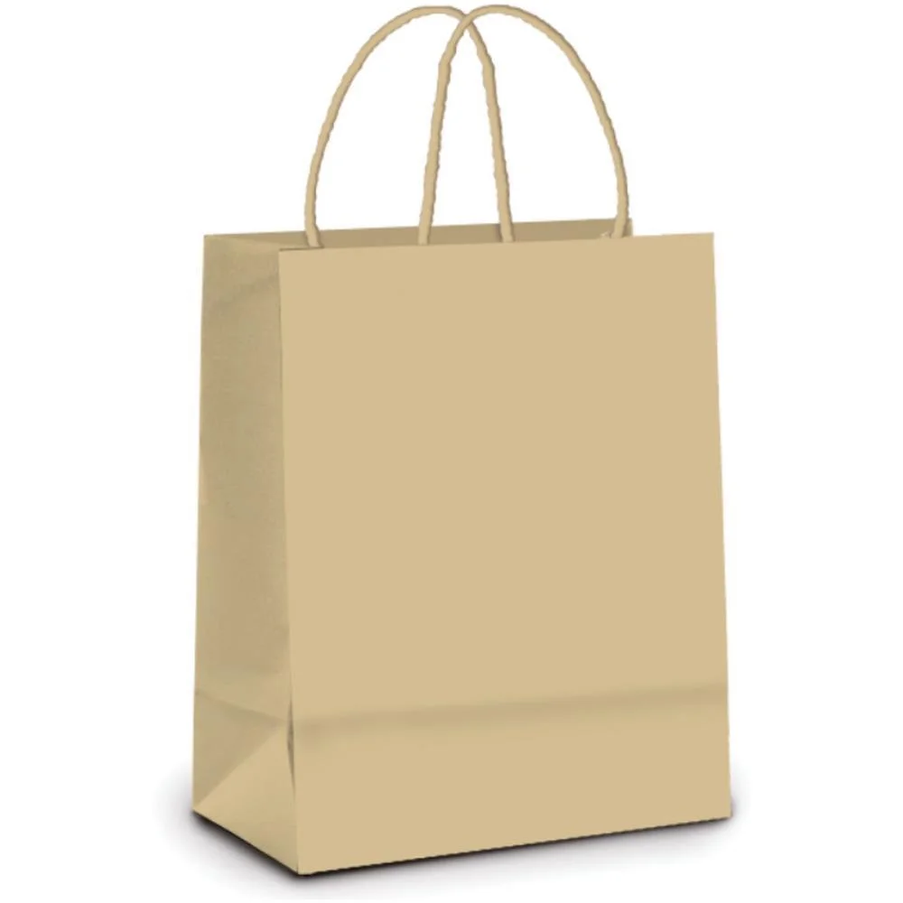 Sacola Para Presente Kraft P 21,5X15X8Cm Packpel (Pct.c/10) - imagem 3