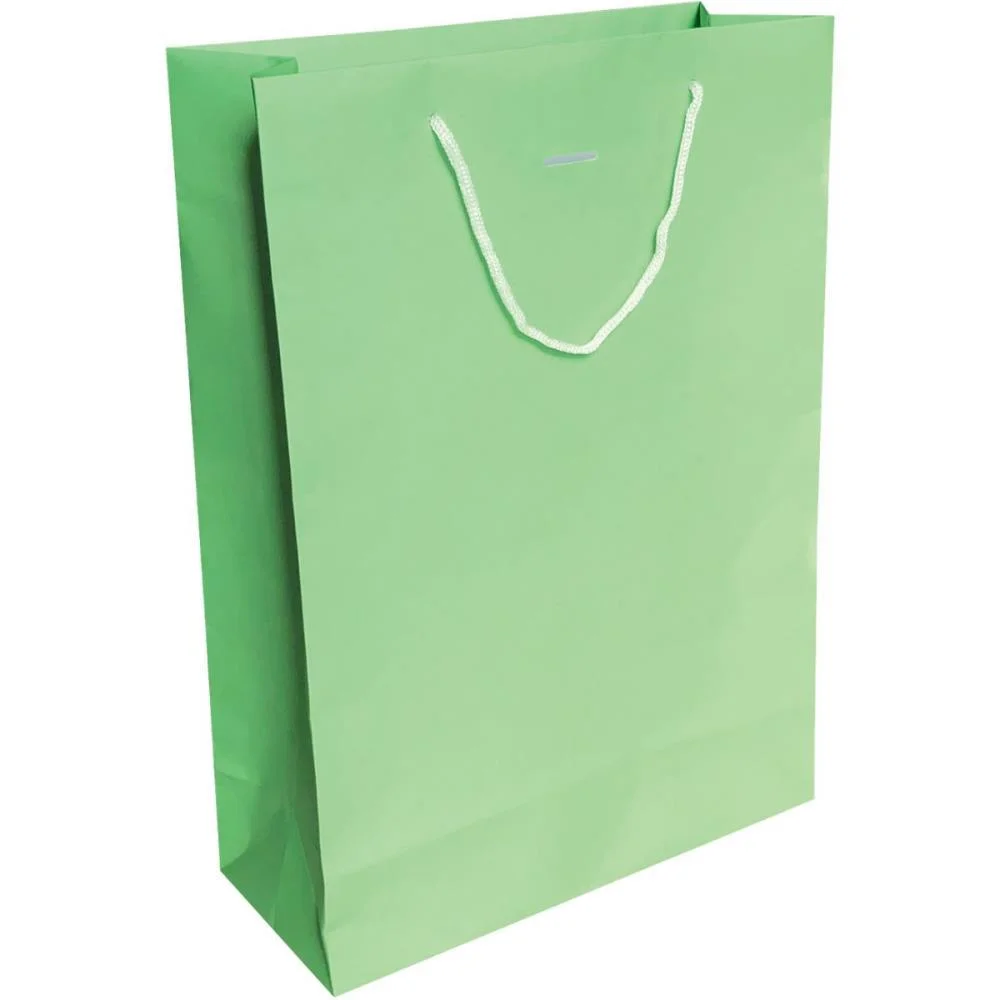 Sacola Para Presente Lisa Cores Vivas G 40X29X12 (S) Cristina (Pct.c/10) - imagem 2