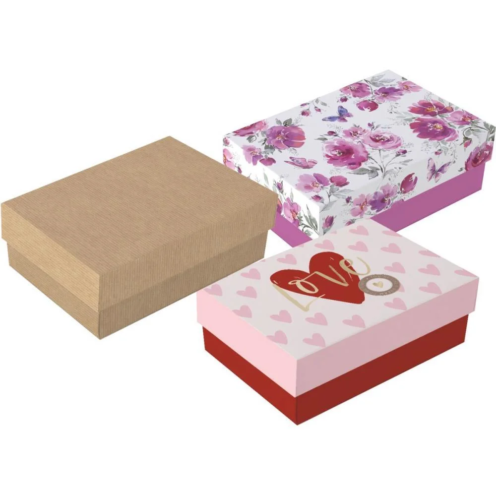 Caixa Para Presente Com Tampa Petit 19,5X14,5X6,5 (S Cromus (Pct.c/10) - imagem 3