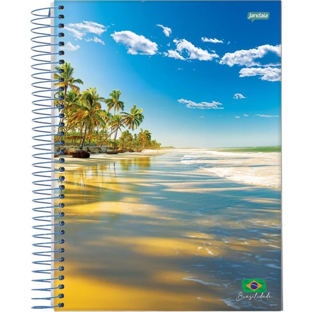 Caderno 10X1 Capa Dura Brasilidade 200Fls. Jandaia (Pct.c/04) - imagem 3