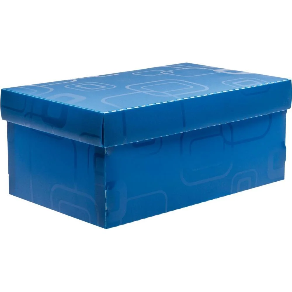 Caixa Organizadora Top Line Sapato 28X17X12Cm.az Dello (Unidade) - imagem 3