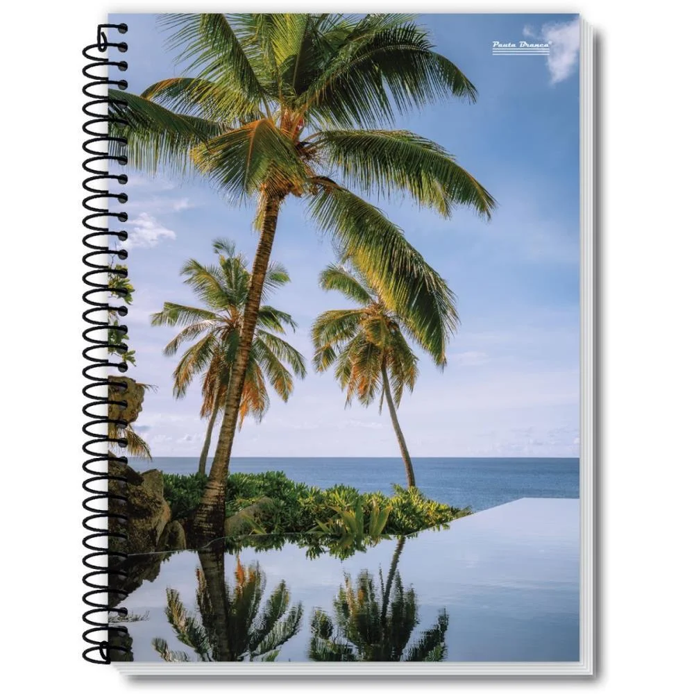 Caderno 01X1 Capa Dura New 96Fls. Pauta Branca (Pct.c/05) - imagem 2