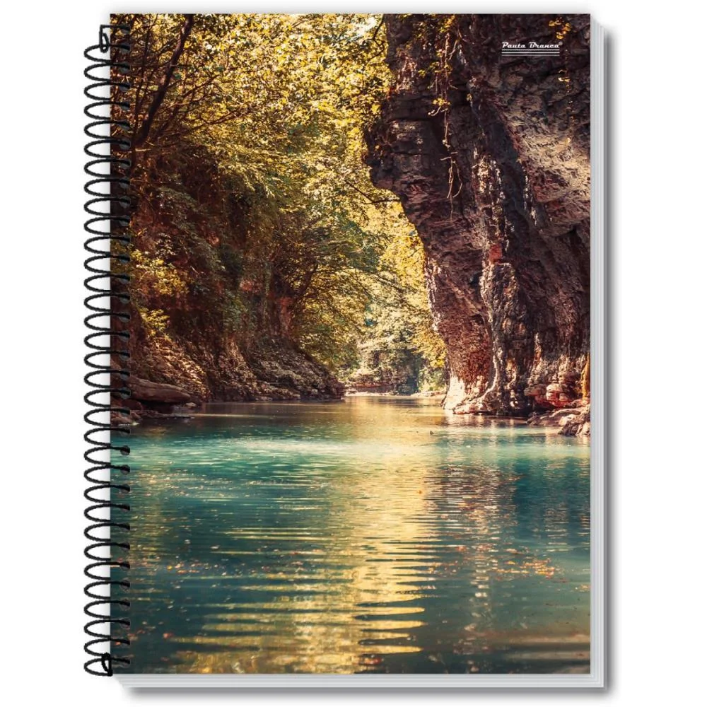 Caderno 10X1 Capa Dura New 200Fls. Pauta Branca (Pct.c/03) - imagem 5