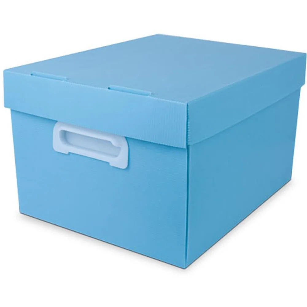 Caixa Organizadora The Best Box G 437X310X240 Azp Polibras (Unidade) - imagem 2