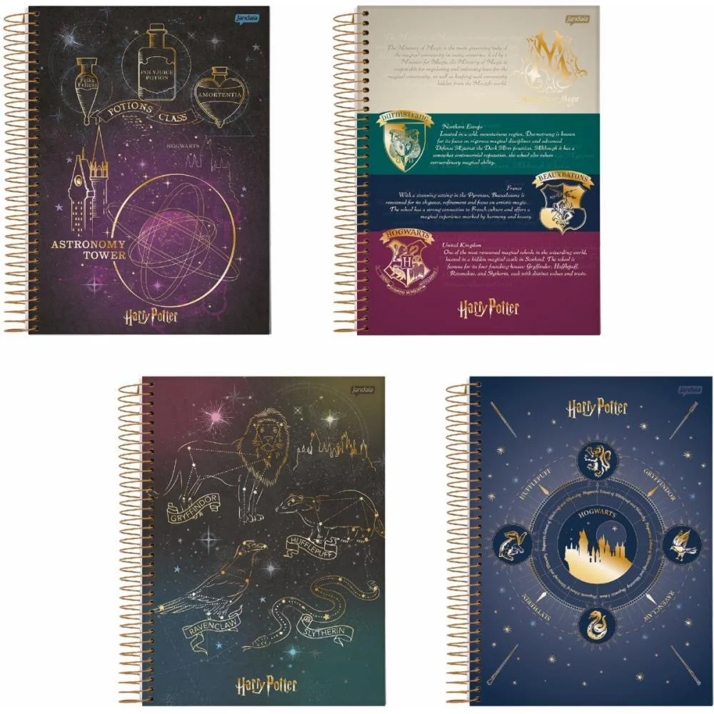 Caderno 10X1 Cp.dura Colegial Harry Potter 160Fls. I.a Jandaia (Pct.c/05) - imagem 10